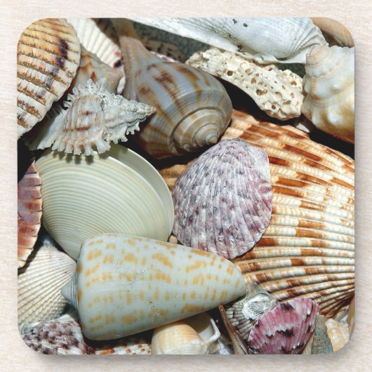 Saison d'été Dessous de verre Seashell (Devant)