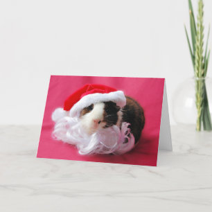 Saison's Squeakings ! Carte pour les fêtes