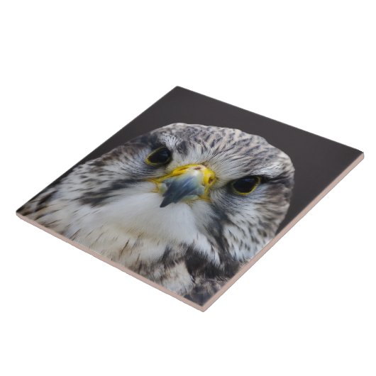 Saker falcon tegeltje (Zijkant)