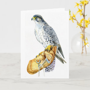 Saker / Gyr valk verjaardag Kaart