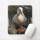 Saksen Duck Mousepad Muismat (Met muis)