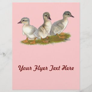 Saksen Ducklings Flyer