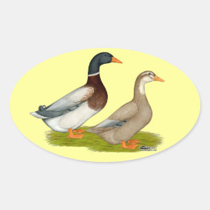 Saksen Ducks Ovale Sticker