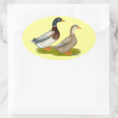 Saksen Ducks Ovale Sticker (Tas)