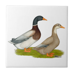 Saksen Ducks Tegeltje
