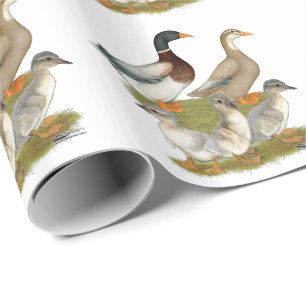 Saksische Eend Familie Cadeaupapier