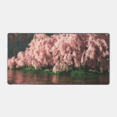 Sakura (Recto)