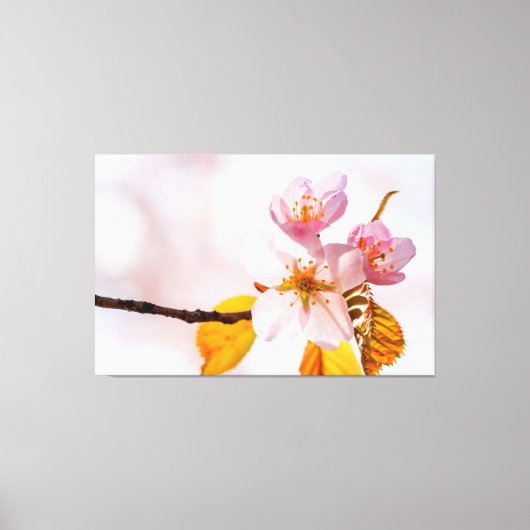 Sakura-bloemen en zachte roze achtergrond van de l canvas afdruk (Voorkant)