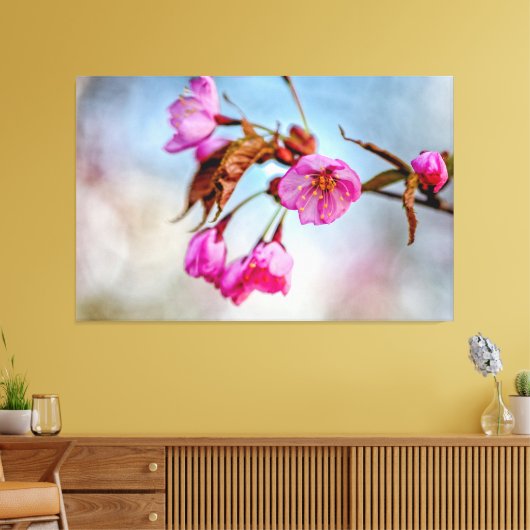 Sakura-bloemen in zachte roze kleuren in Springtim Canvas Afdruk (Insitu (Woonkamer))
