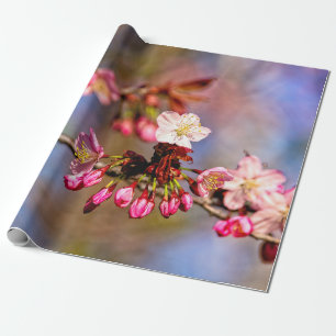 Sakura Blossom en Paarse buds op zondag Cadeaupapier