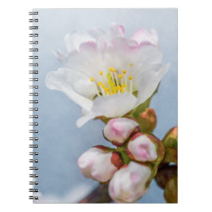 Sakura Blossom Notitieboek