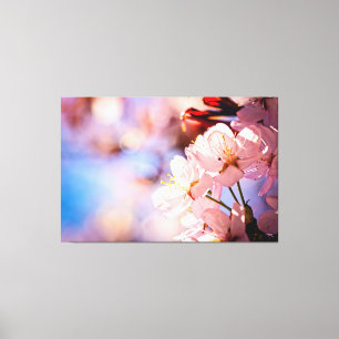 Sakura Blossom op zonnige dag Canvas Afdruk