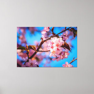 Sakura - boom in roze bloom canvas afdruk