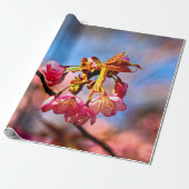 Sakura Buds zijn klaar om te openen en bloom Cadeaupapier (Uitgerold)