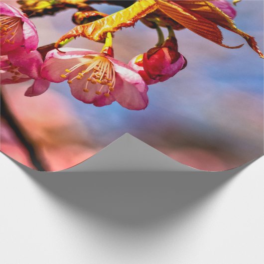 Sakura Buds zijn klaar om te openen en bloom Cadeaupapier (Hoek)