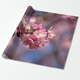 Sakura Cherry bloesems in roze Cadeaupapier