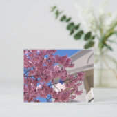 Sakura Cherry Blossom Americana Briefkaart (Staand voorkant)