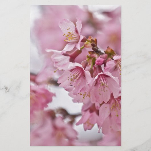 Sakura Cherry Blossom Bleek Pink Briefpapier (Voorkant)
