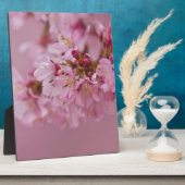 Sakura Cherry Blossom Bleke roze reflecties Fotoplaat (Zijkant)