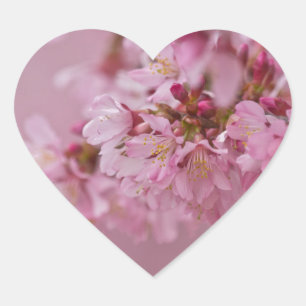 Sakura Cherry Blossom Bleke roze reflecties Hart Sticker