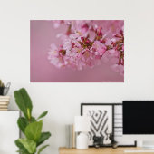 Sakura Cherry Blossom Bleke roze reflecties Poster (Thuiskantoor)