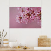 Sakura Cherry Blossom Bleke roze reflecties Poster (Keuken)