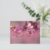 Sakura Cherry Blossom Delicate Pink Bouquet Briefkaart (Staand voorkant)