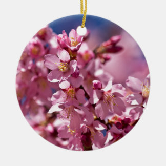 Sakura Cherry Blossom gekust door zonlicht Keramisch Ornament