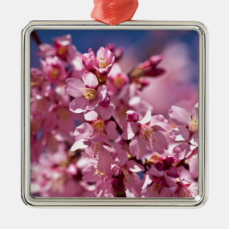 Sakura Cherry Blossom gekust door zonlicht Metalen Ornament