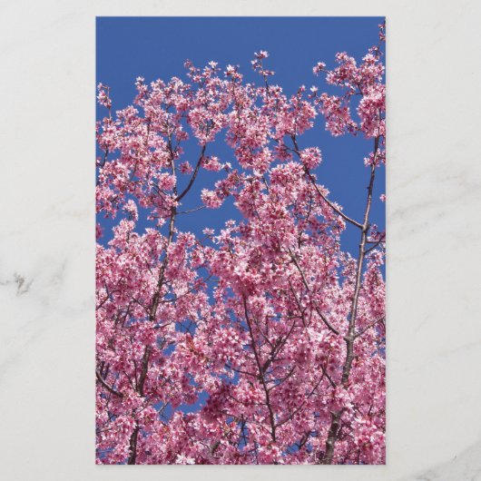 Sakura Cherry Blossom in the Blue Briefpapier (Voorkant)