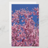 Sakura Cherry Blossom in the Blue Briefpapier (Voorkant / Achterkant)