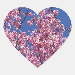 Sakura Cherry Blossom in the Blue Hart Sticker
