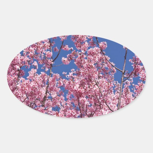 Sakura Cherry Blossom in the Blue Ovale Sticker (Voorkant)