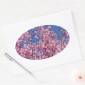 Sakura Cherry Blossom in the Blue Ovale Sticker (Envelop)