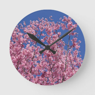 Sakura Cherry Blossom in the Blue Ronde Klok