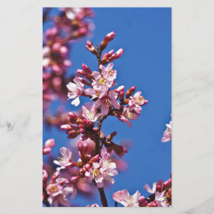 Sakura Cherry Blossom met Blue Briefpapier