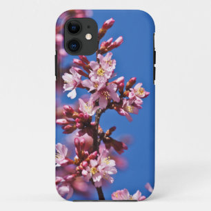 Sakura Cherry Blossom met Blue iPhone 11 Hoesje