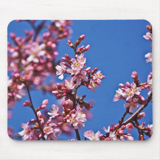 Sakura Cherry Blossom met Blue Muismat (Voorkant)