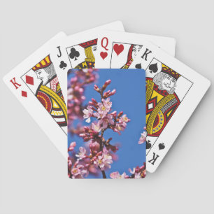 Sakura Cherry Blossom met Blue Speelkaarten