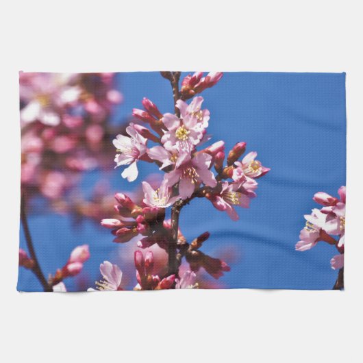 Sakura Cherry Blossom met Blue Theedoek (Horizontaal)