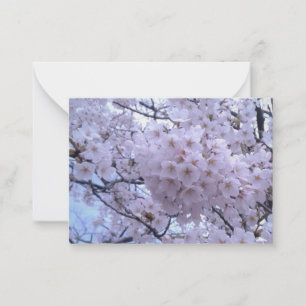 Sakura Cherry Blossom Note Cards Notitiekaartje