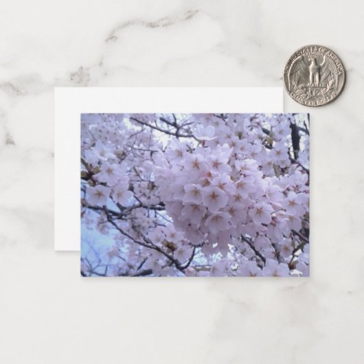 Sakura Cherry Blossom Note Cards Notitiekaartje (Voorkant / Achterkant in situ)