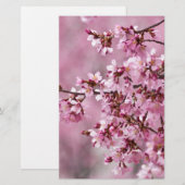 Sakura Cherry Blossom Pastel Pink Layers Briefpapier (Voorkant / Achterkant)