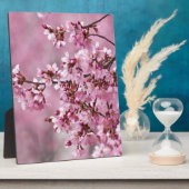 Sakura Cherry Blossom Pastel Pink Layers Fotoplaat (Zijkant)