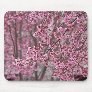 Sakura Cherry Blossom Pink Muismat