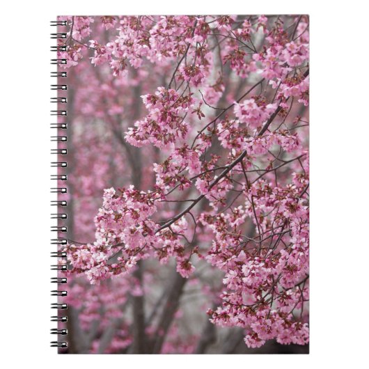 Sakura Cherry Blossom Pink Notitieboek (Voorkant)