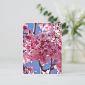 Sakura Cherry Blossom Red Stars Briefkaart (Staand voorkant)