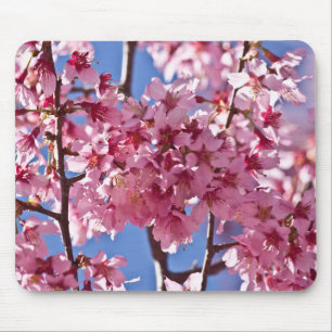 Sakura Cherry Blossom Red Stars Muismat