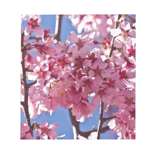 Sakura Cherry Blossom Red Stars Notitieblok (Voorkant)