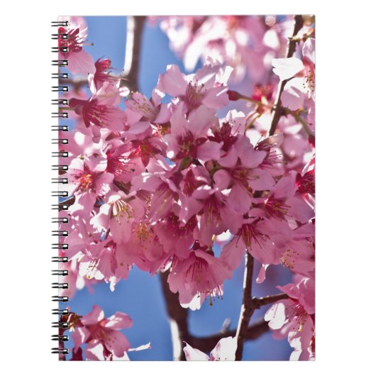 Sakura Cherry Blossom Red Stars Notitieboek (Voorkant)